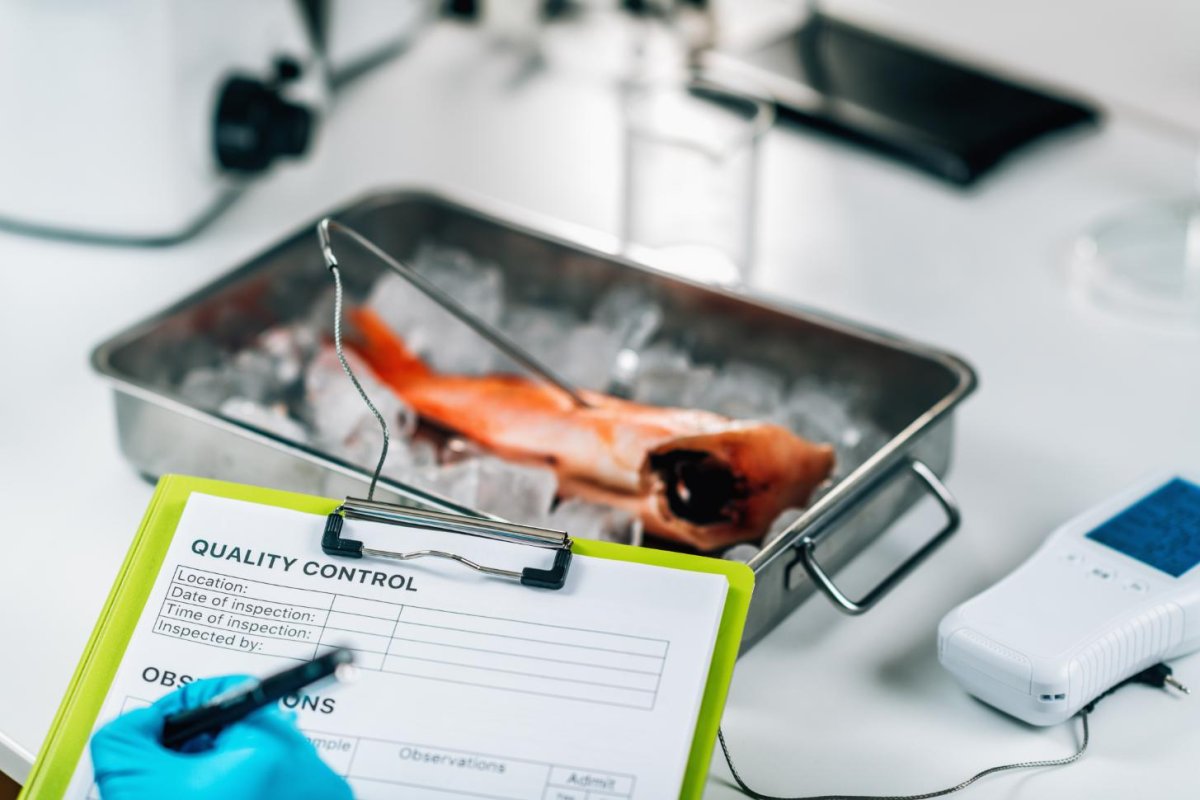HACCP Certification in Bahrain – Food Safety Requirements, Controls & Compliance | Get Certified with SCS