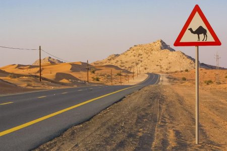 ISO 39001 Certification in Oman – Get Certified with SCS
