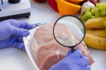 ISO 22000 Certification in Kuwait – FSMS Requirements & Food Safety Regulations - Get certified with SCS